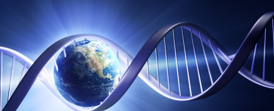 PUTEREA INFORMATIEI IN STOMATOLOGIE